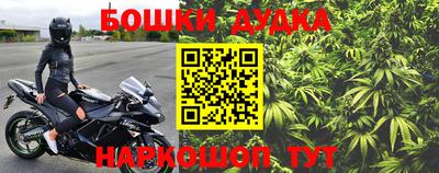 прущие крисы Славгород