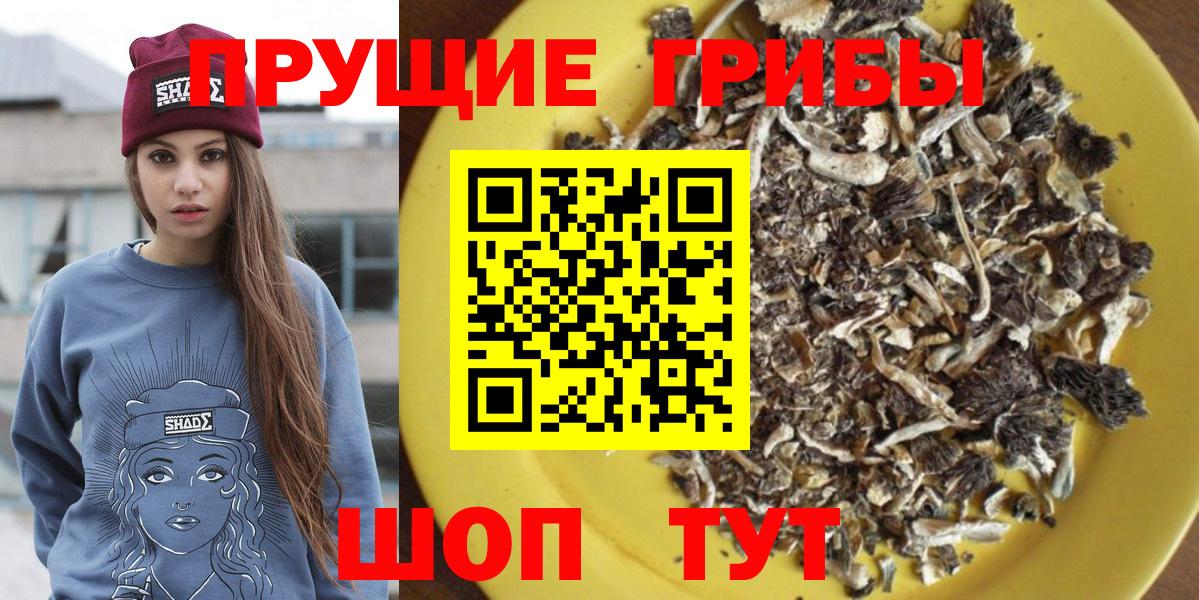 Подольск  Псилоцибиновые грибы Psilocybe  Вход с VPN 